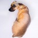 Подушка-собака 3D "Гончая серая"70 см.