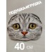 Декоративная подушка Котенок "Серый вислоухий" Декоративная подушка Котенок "Серый вислоухий"
