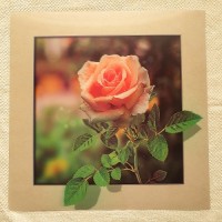 Картина трехмерная "Роза"