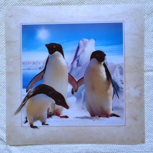 Картина трехмерная "Пингвины"