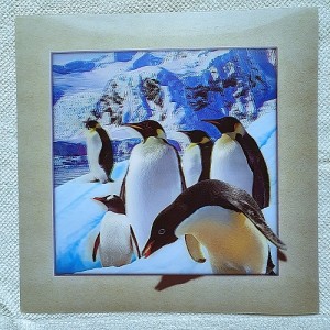 Картина трехмерная "Большое семейство пингвинов"